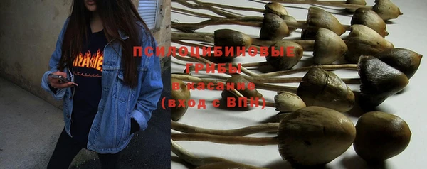 мескалин Абинск
