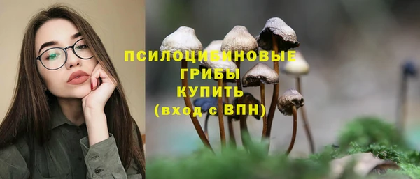 СК Алексин