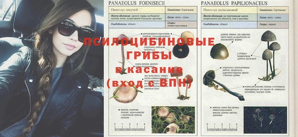 меф Козельск